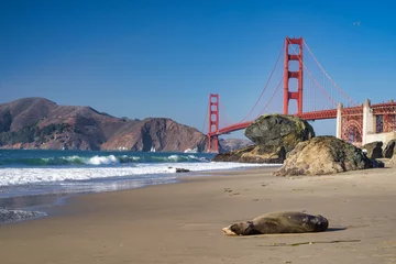 Cercles muraux Plage de Baker, San Francisco The Golden Gate Bridge
