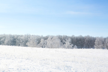 Alone frozen tree in snowy field and  blue sky