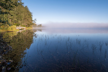Fototapeta na wymiar Idyllic lake landscape with sunrise light and standing water at summer morning in National Park Finland