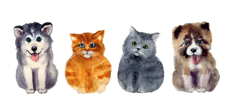 Cute watercolor dods and cats on the white background