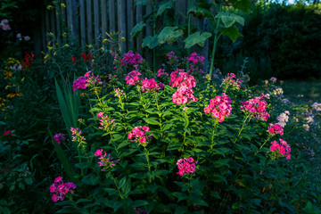 Bourbon L'Archambault 