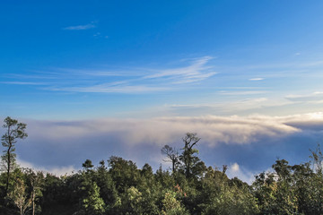Beautiful​ landscape​ at Khun Sathan​ National​ Park​ in​ Nan, Thailand. Sea of mist at dawn, khun sathan national park, Northern Thailand