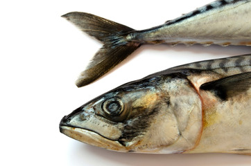 Head and tail of frozen mackerel close-up on a white background. Mackerel head and tail on a white background. Atlantic mackerel head and tail with shadow on a white background. Flat lay.