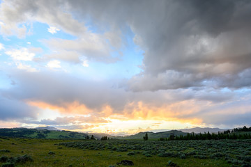 Field in Yellowstone with Bright Sunlight in Clouds
