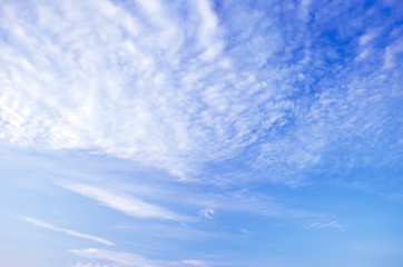 Fototapeta premium Blue sky and white clouds