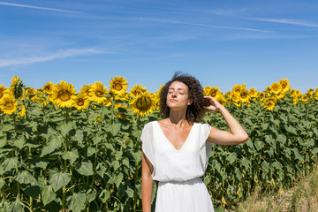Fototapeta premium Sunflowers 