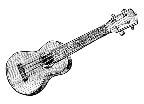 Sketch of small hawaii guitar ukulele