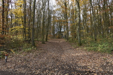 Obraz premium la cabane du fond