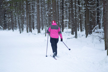 Cross country. A skier is skiing in winter in the woods.