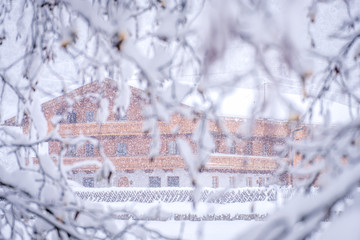 Winter landscape in the city of Neustift in the Stubai Valley in Austria. View of a typical austrian house through tree branches