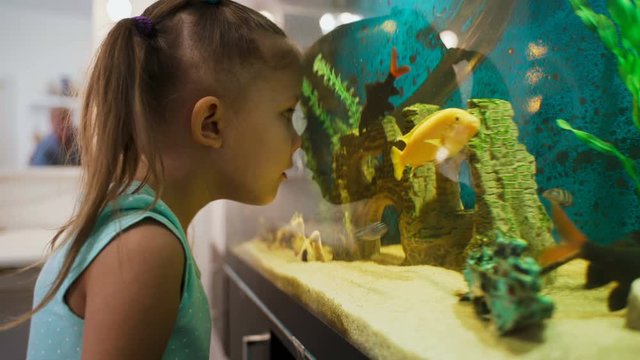 Little Girl Child At Home Looking At Fish