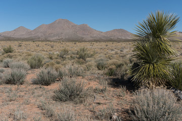 The Grandmother Mountain range in southwest New Mexico.
