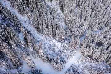 Aerial view of snowy pine trees and a little meandering stream in Stubai Valley, Tirol, Austria