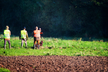 hunters and their dogs approaching the forest