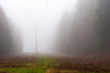 Electricity pylons  running through forest. Taken straight on, perpendicular.