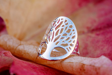 Silver ring in shape of tree in mandala placed on autumn leaf background