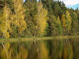 colorful autumn landscape with lake and gorgeous trees, beautiful reflections in calm water