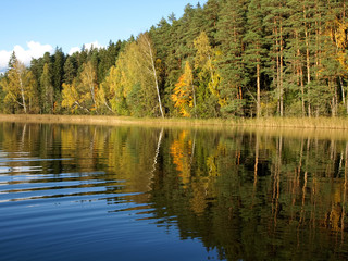 Obraz premium colorful autumn landscape with lake and gorgeous trees, beautiful reflections in calm water