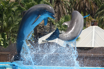 Delphin © Stephan von Mikusch
