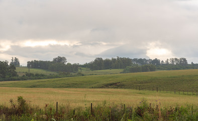 Fototapeta premium Rural landscape in cloudy and rainy day2