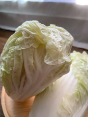  cabbage