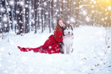 Attractive woman with the dogs. Huskies or Malamute. Christmas