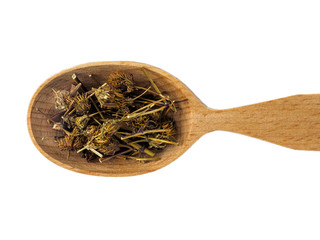 Dry Bidens flowers in wooden spoon on white background