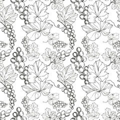 Vector Grape berry healthy food. Black and white engraved ink art. Seamless background pattern.