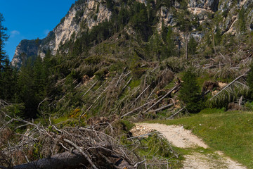 Alto Adige Autumn sunny day nature outdoor