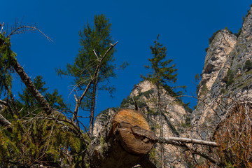 Alto Adige Autumn sunny day nature outdoor