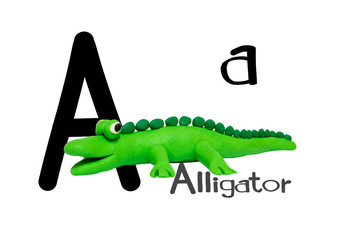 Cartoon characters,alligator isolated on white background.