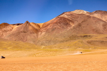 Fototapeta na wymiar The Laguna colorada in Bolivia