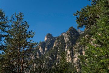 Alto Adige Autumn sunny day nature outdoor