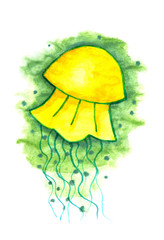 Hand drawn watercolor yellow medusa on a green-white background. Underwater world, jellyfish lake, tourism, snorkeling, sea animals.