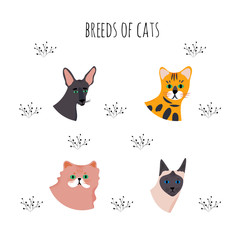 Set with funny portraits cartoon style of cats. Icons of breeds for a different design.