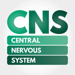 Naklejka premium CNS - Central Nervous System acronym, concept background