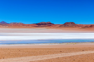 Fototapeta na wymiar The Laguna colorada in Bolivia