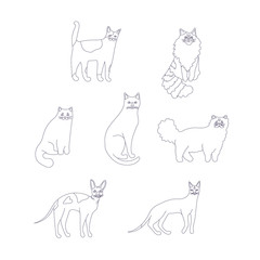 Set icons line style of cat breeds. Cute characters for different design.