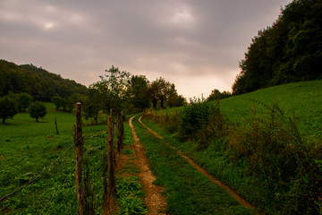 Fototapeta na wymiar path between green meadows and lush gardens