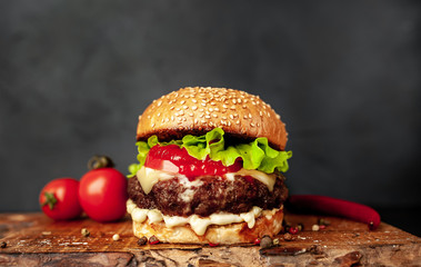 grilled burger on a stone background