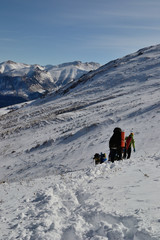 Fototapeta na wymiar Hiking in Caucasus mountain among forest and snow