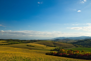 A pasture meadow at the end of summer with mountains in the background