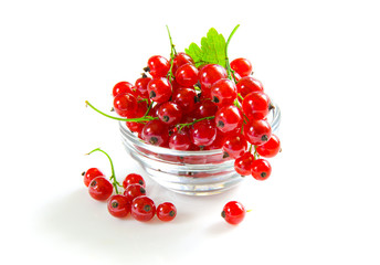 Red currant in bowl on white background
