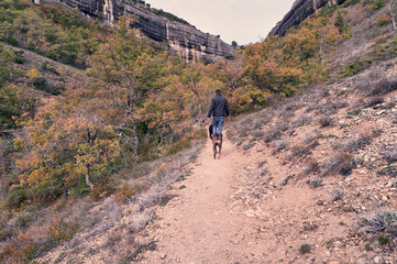 Obraz premium view from behind of young man taking a walk with his dogs along a trail between mountains