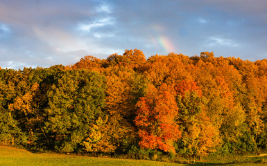 Fototapeta premium autumn foliage in early morning with rainbow peeking through clouds 