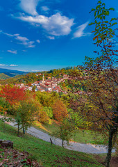autumn landscape with trees and blue sky