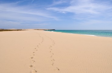 Fototapeta na wymiar Footprints in a lonely Beach
