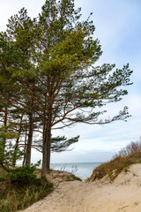 Path to Baltic sea in dunes.