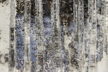 Icicles, set . Icicles, set on a mirror background