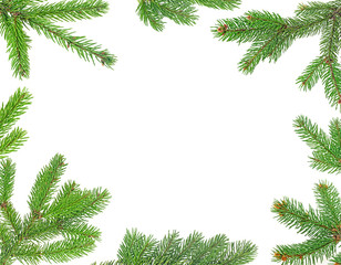 Christmas frame - Christmas tree branches isolated on white background.